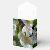 リンゴの花 フェイバーボックス (オープン)