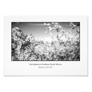 リンゴの花 フォトプリント