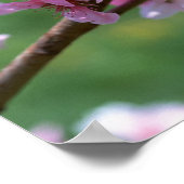 リンゴの花 ポスター (角)