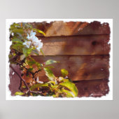 リンゴの花 ポスター (正面)