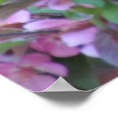 リンゴの花 ポスター (角)