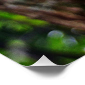 リンゴの花 ポスター (コーナー)