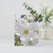リンゴの花 ポストカード (スタンド正面)