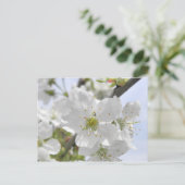 リンゴの花 ポストカード (スタンド正面)