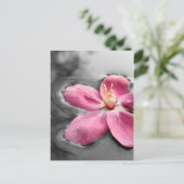 リンゴの花 ポストカード (スタンド正面)