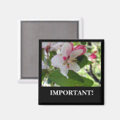 リンゴの花 |マグネット マグネット (正面/裏面)