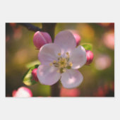 リンゴの花 ラッピングペーパーシート (正面2)