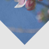 リンゴの花 – リンゴの木の咲く枝 薄葉紙 (詳細)