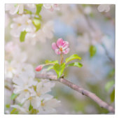 リンゴの花 – 美しい タイル (正面)