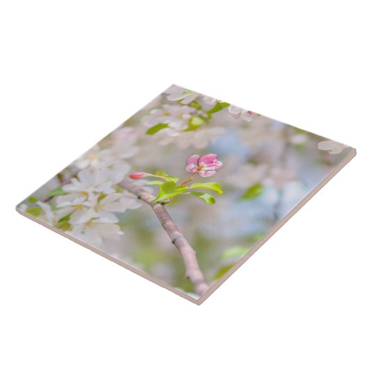 リンゴの花 – 美しい タイル (側面)