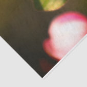 リンゴの花 薄葉紙 (詳細)