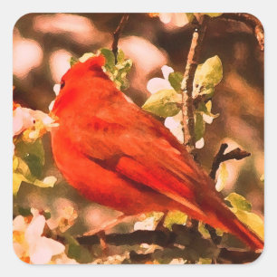 リンゴの花(鳥)ショウジョウコウカンチョウ スクエアシール