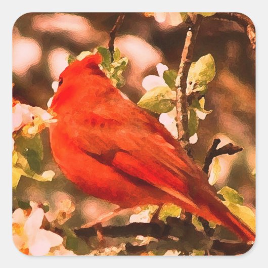 リンゴの花（鳥）ショウジョウコウカンチョウ スクエアシール (正面)