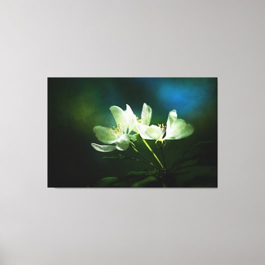 リンゴの花 – 2つの花 キャンバスプリント (正面)