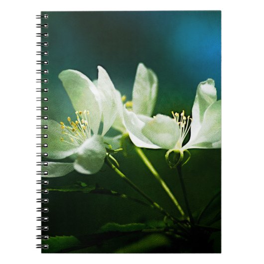 リンゴの花 – 2つの花 ノートブック (正面)