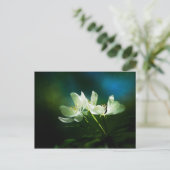リンゴの花 – 2つの花 ポストカード (スタンド正面)