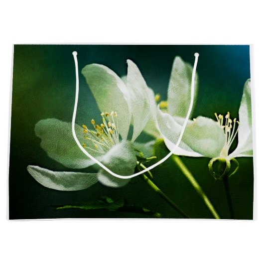 リンゴの花 – 2つの花 ラージペーパーバッグ (正面)