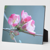 リンゴの花#P0358斑 フォトプラーク (側面)