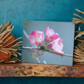 リンゴの花#P0358斑 フォトプラーク (側面)