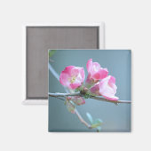 リンゴの花#P0358磁石 マグネット (正面/裏面)