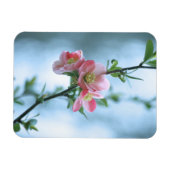 リンゴの花#P0365ビニール磁石 マグネット (横)