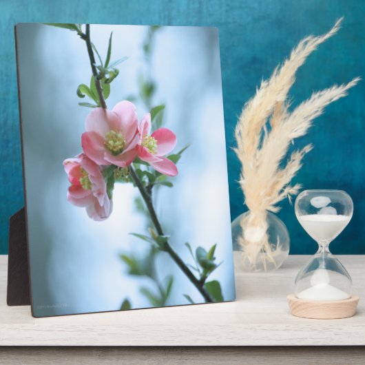 リンゴの花#P0365斑 フォトプラーク (側面)