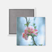 リンゴの花#P0365磁石 マグネット (正面/裏面)