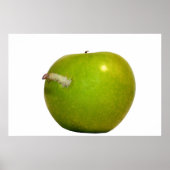 リンゴの虫 ポスター (正面)