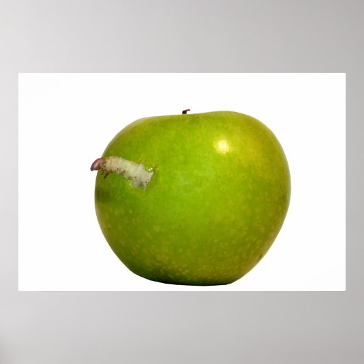 リンゴの虫 ポスター (正面)