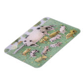 リンゴの饗宴 マグネット (左側)