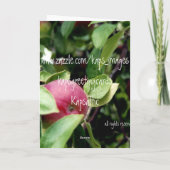 リンゴを上手に取る カード (裏面)