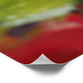 リンゴプリント ポスター (角)