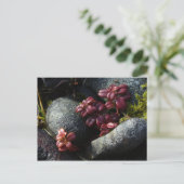 リンゴンベ離れリーの – 秋の色，ウナスカラスイスラン ポストカード (スタンド正面)