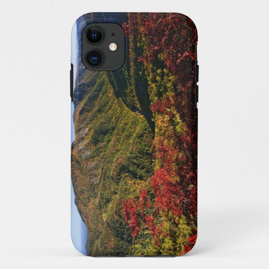 リンゴーグ谷の秋景色 ノースカロライナ州の Case-Mate iPhoneケース (裏面)