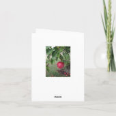 リンゴ園のメッセージカードの秋の朝 カード (裏面)