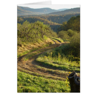 リンゴ園、ノースカロライナ