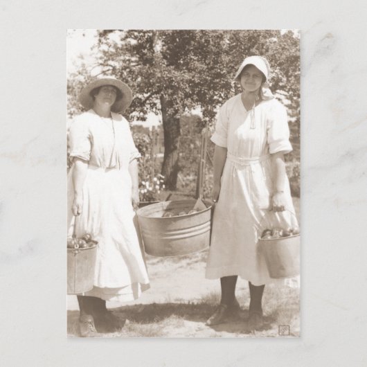 リンゴ採り女性 ポストカード (正面)