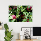 リンゴ摘み ポスター (ホームオフィス)