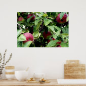 リンゴ摘み ポスター (キッチン)