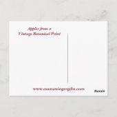 リンゴ植物性ヴィンテージ ポストカード (裏面)