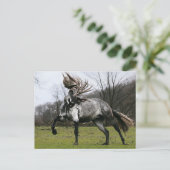 リンゴ灰色 ポストカード (スタンド正面)