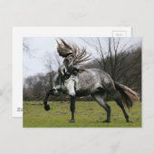 リンゴ灰色 ポストカード (正面/裏面)