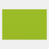 リンゴ緑無地の色 |クラシック |エレガント | ラッピングペーパーシート (正面)