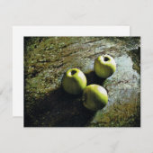 リンゴ3 シーズンカード (正面/裏面)