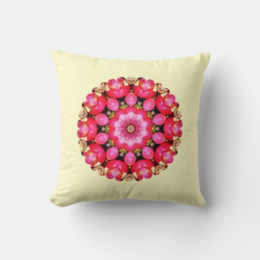 リンゴ クッション (正面)