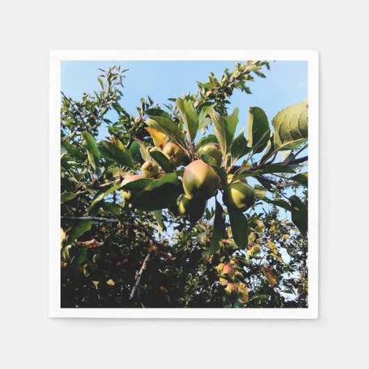 リンゴ スタンダードカクテルナプキン (正面)