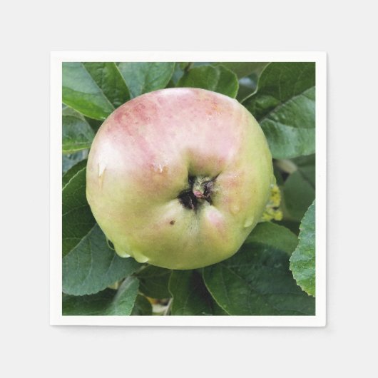リンゴ スタンダードカクテルナプキン (正面)