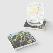 リンゴ ストーンコースター (横)