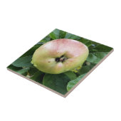 リンゴ タイル (側面)