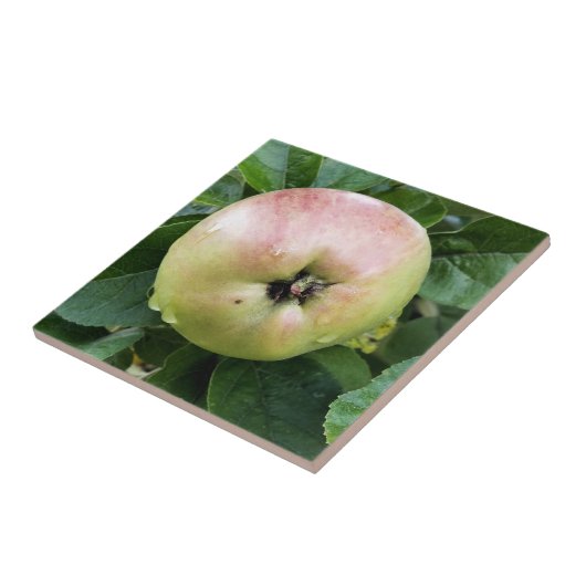 リンゴ タイル (側面)